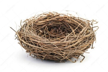 Natural bird nest isolated white