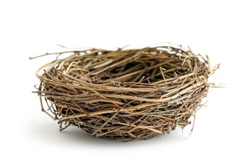 Empty natural bird nest