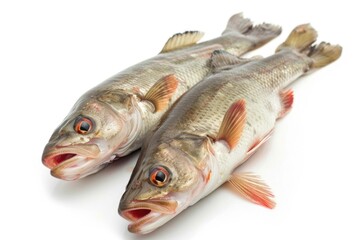Fototapeta premium A pair of fish sit calmly on a white surface, possibly a table or plate