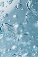 A group of bubbles suspended in mid-air