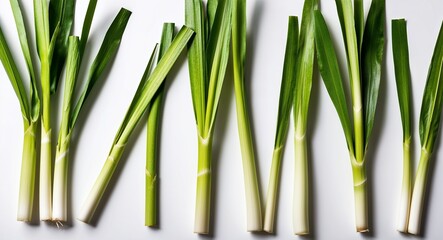 Fototapeta premium Detailed closeup of fresh lemongrass leaves against a clean white backdrop