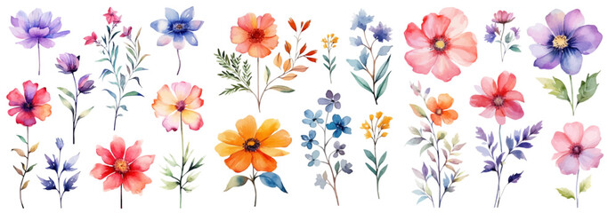 Set of watercolor flower illustration. Use by fabric, fashion, wedding invitation, template, poster, romance, greeting, spring, bouquet, pattern, decoration and textile