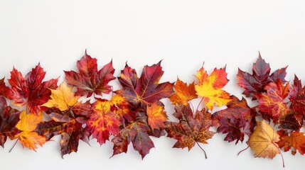 A row of red and yellow autumn leaves on a white surface, great for fall-themed designs and compositions