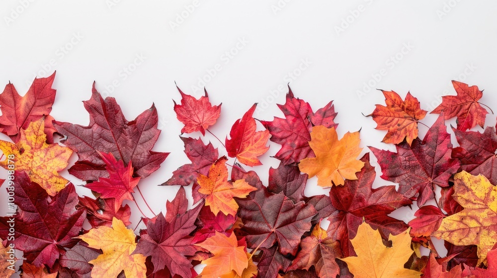 Sticker Close-up of autumnal leaves on a clean white background, perfect for fall-themed designs