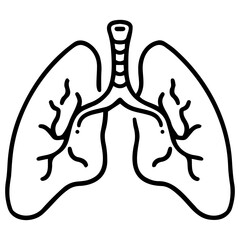 Lungs