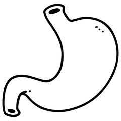 Stomach