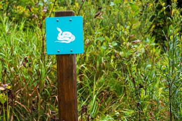A caution sign warning, Watch out for snakes, stands against the dramatic green lush backdrop