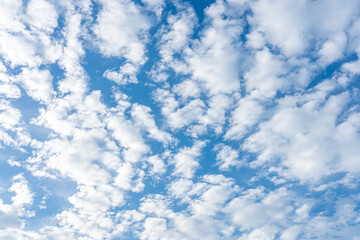 Fluffy white clouds drift across a bright blue sky, painting a beautiful summer landscape