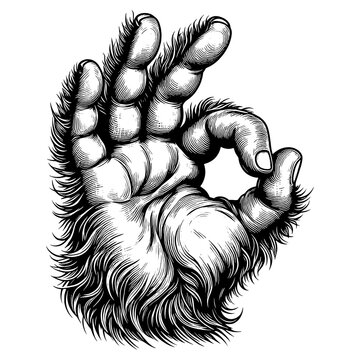 recommend clip art: Monkey animal hand with ok gesture sketch engraving PNG illustration. Good sign. Scratch board style imitation. Hand drawn style generative ai image.