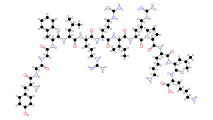 dynorphin a molecule, structural chemical formula, ball-and-stick model, isolated image endogenous opioid peptide