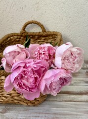 Fresh pink peonies in the wicker basket on the wooden background 