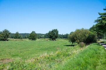 Fototapeta premium Green meadows at a Flemish nature reserve in Schulen, Limburg, belgium