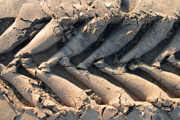 Tractor tyre prints on sea sand during the day. Traces tractor tires on the sand of the sea beach