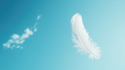 White Feather Floating