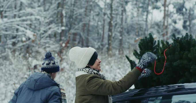 A couple ties a Christmas tree to the roof of their car with a rope. The concept of preparing for Christmas.
