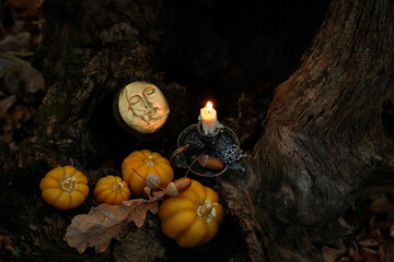 moon amulet, candle and decorative pumpkins in forest, dark nature background. Samhain, Halloween....