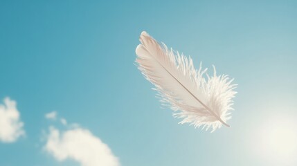 Naklejka premium White feather floating