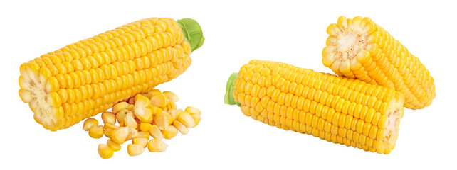 ear of corn isolated on a white background with  full depth of field
