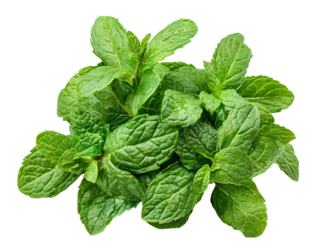 Fresh green mint leaves, isolated on transparent cutout background