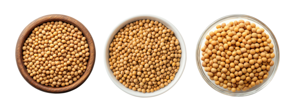 Top view Soybeans in bowl on white background