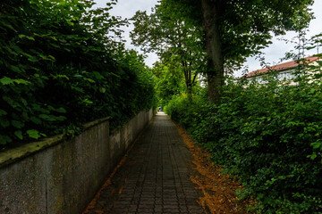 A quiet pedestrian street surrounded by greenery, offering a cozy and peaceful atmosphere away from...