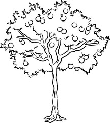 Sketch Orange tree