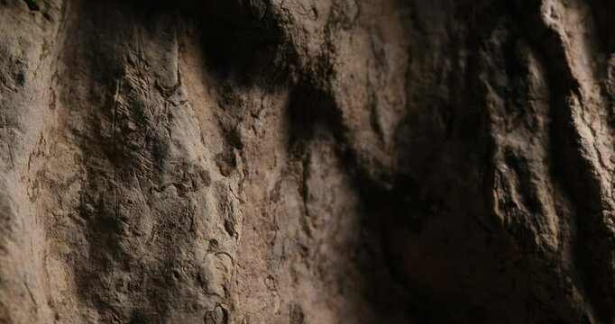 A close-up of a rugged rock surface displaying prominent textures and shadows. The rough and weathered stone surface, ideal for geology or nature-related themes.