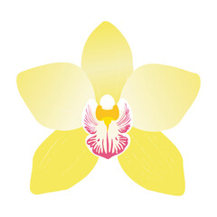 Yellow Watercolor Orchid