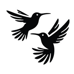 Obraz premium Hummingbird Duo in Flight