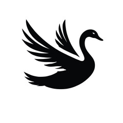 Obraz premium Graceful Swan in Flight