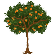 Watercolor Orange tree