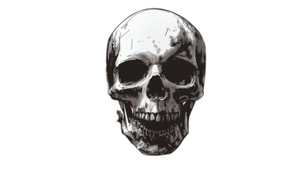 Skull Illustration Isolated On Transparent Background 