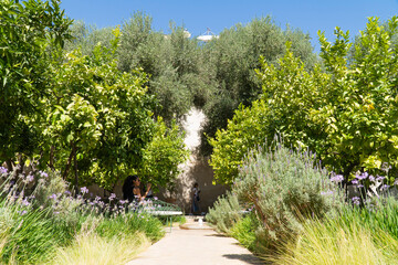Fototapeta premium A marble water feature bowl in the covered central feature of the Islamic section in The Secret Garden, Le Jardin Secret, in the Medina district of Marrakech, Morocco.