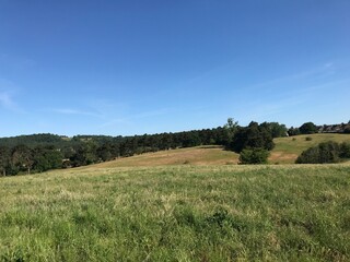 Obraz premium field and blue sky