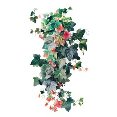 Fototapeta premium Flower Collage Ivy flower ivy plant.