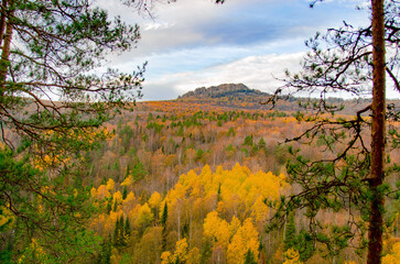Autumn forest in the mountains