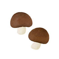 mushroom isolated on white