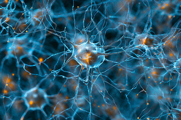Neural Network Connections, A detailed visualization of interconnected neurons, illustrating the complex neural network with glowing synapses and branching structures.