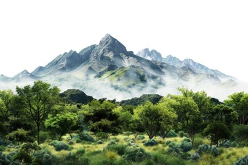 Fototapeta premium Mountain landscape with trees and foliage in the foreground