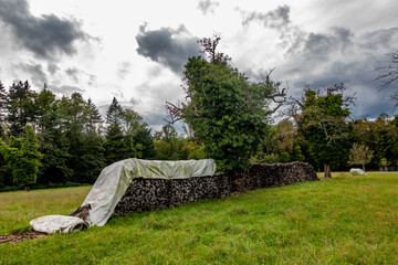 Brennholz lagert auf einer Wiese mit sehr alten Obstbäumen © focus finder