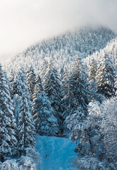 wintertime in small german village covered with snow Garmish-Partenkirchen