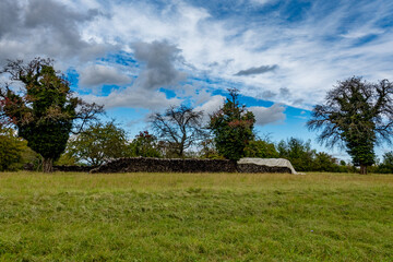 Brennholz lagert auf einer Wiese mit sehr alten Obstbäumen © focus finder
