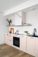 Modern kitchen with wooden cabinets and electric household appliances