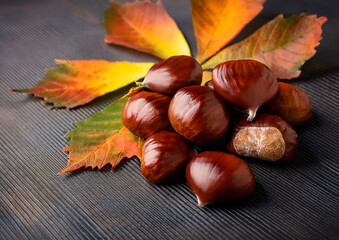 秋の味覚栗と落ち葉