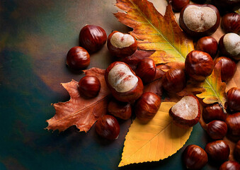 秋の味覚栗と落ち葉