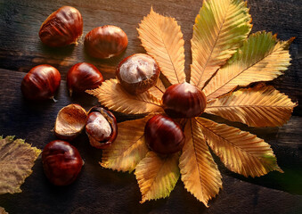 秋の味覚栗と落ち葉