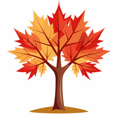 maple tree autumn vector illustration 