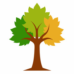 Fototapeta premium maple tree autumn vector illustration 