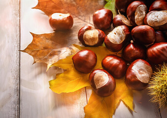 秋の味覚栗と落ち葉
