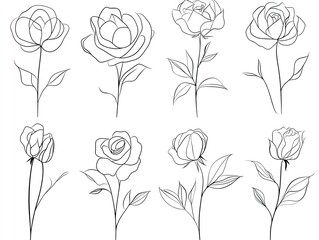 Obraz premium Minimalist Floral Outlines: Elegant Rose and Peony Designs for Monochromatic Wall Art, Perfect for Invigorating Your Sports Interior with Organic Shapes and Graceful Blooms